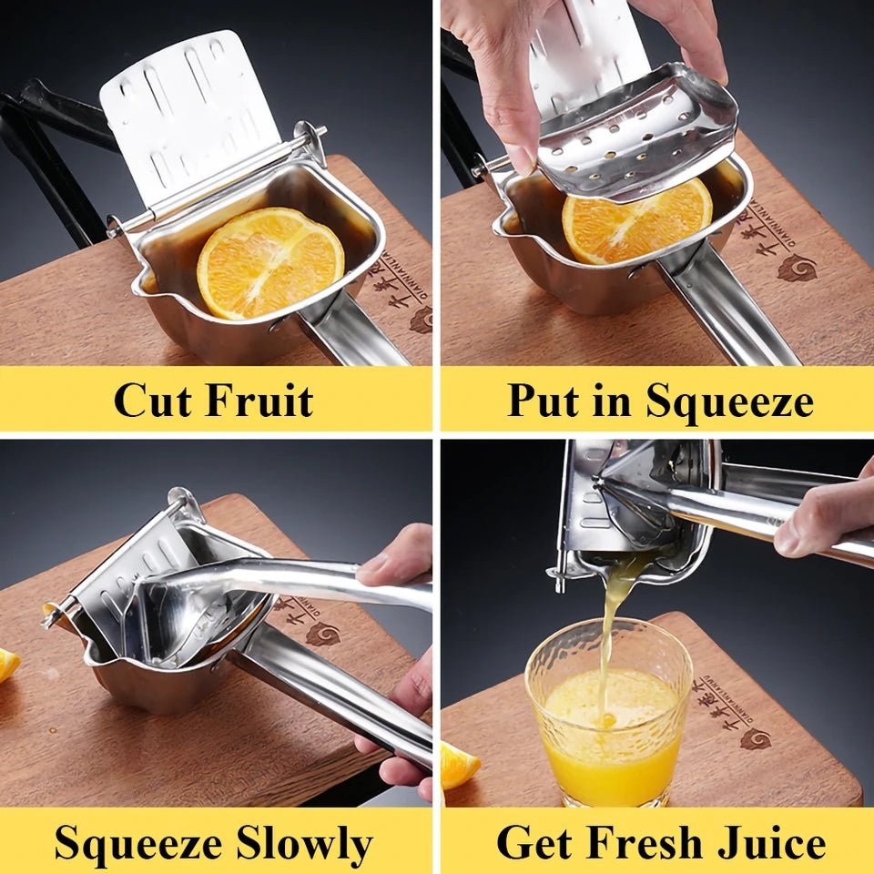 Steel Fruits Juicer Manual Hand Press Juicer - Neozen Store