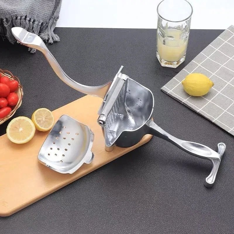 Steel Fruits Juicer Manual Hand Press Juicer - Neozen Store