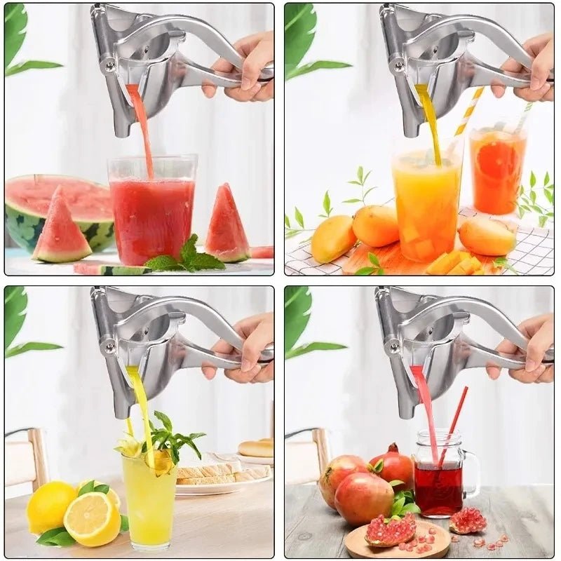 Steel Fruits Juicer Manual Hand Press Juicer - Neozen Store